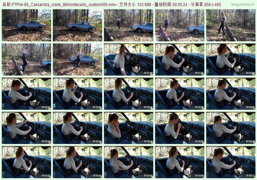 ptpnk-89_Cassandra_crank_86montecarlo_custom409